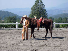 Mexico-Sierra Occidental-Mexican Equestrian and Horse Clinic